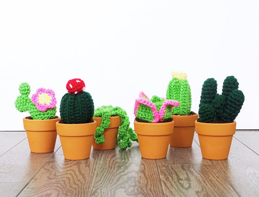 Crochet Succulent Amirugumi Pattern Bundle