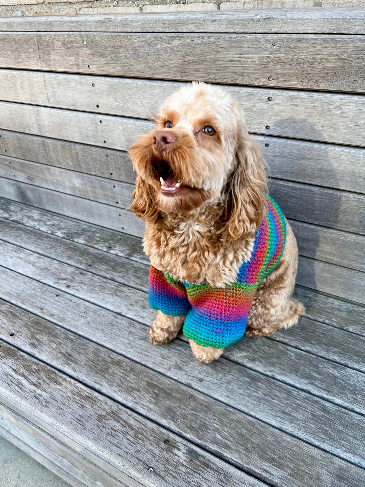 Top Kauai (camisola para cachorro) padrão de crochê