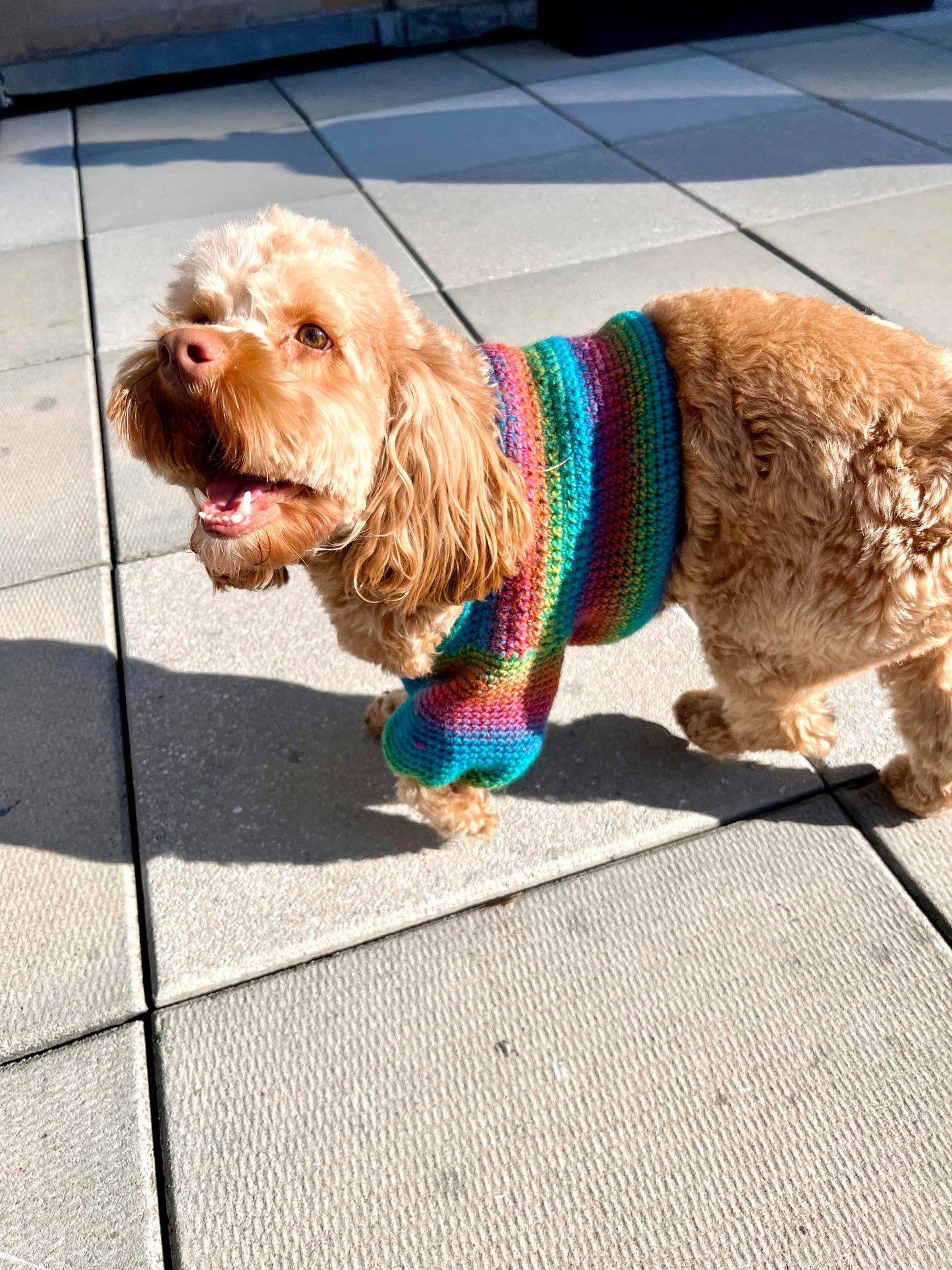 Kauai Top (Dog Sweater) Crochet Pattern